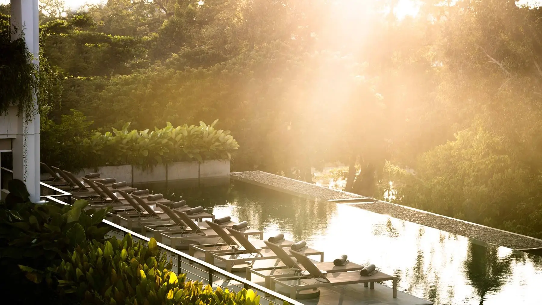 siem reap hotels treeline zwembad in de zon