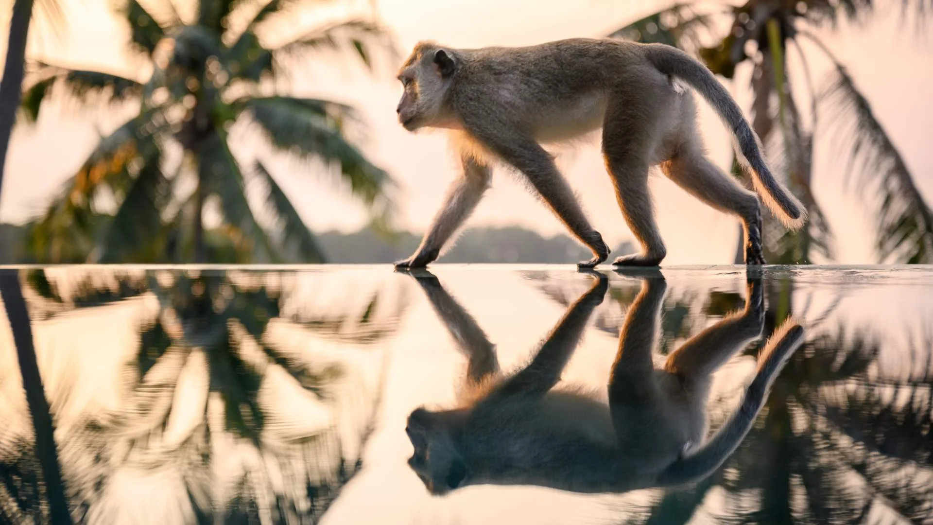 laos reizen huwelijksreis thailand laos