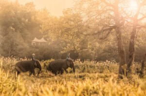 laos reizen luxe vakantie thailand en laos