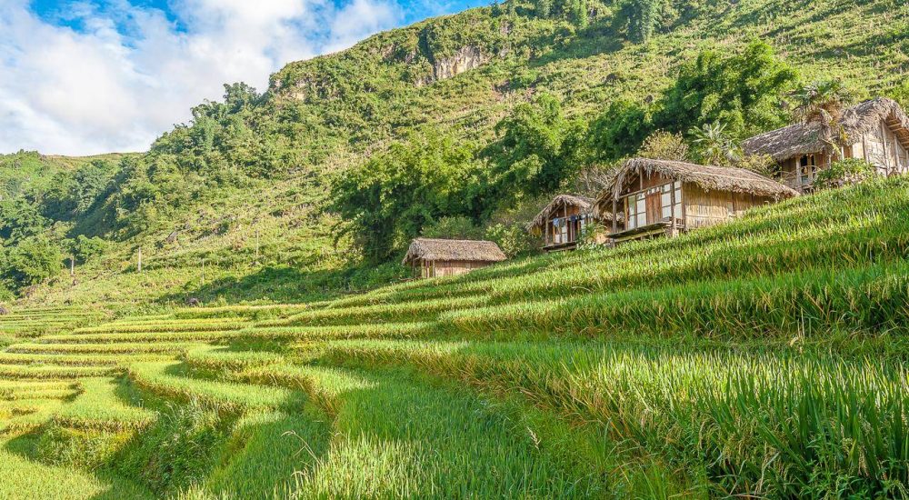 Vietnam Reizen Sapa lodge bungalows