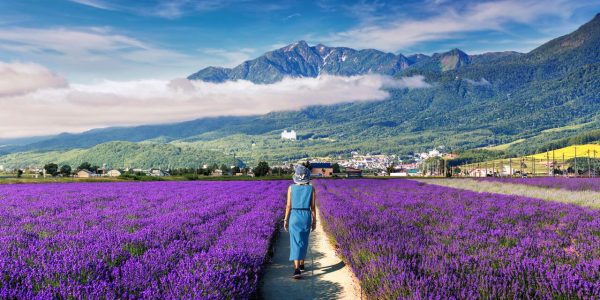 rondreis hokkaido furano