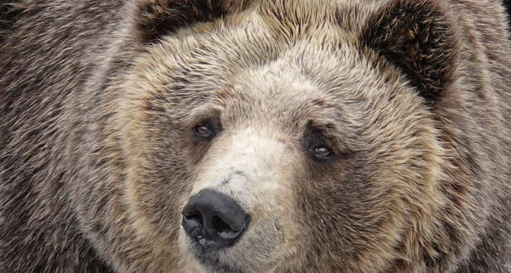 rondreis hokkaido japan beer