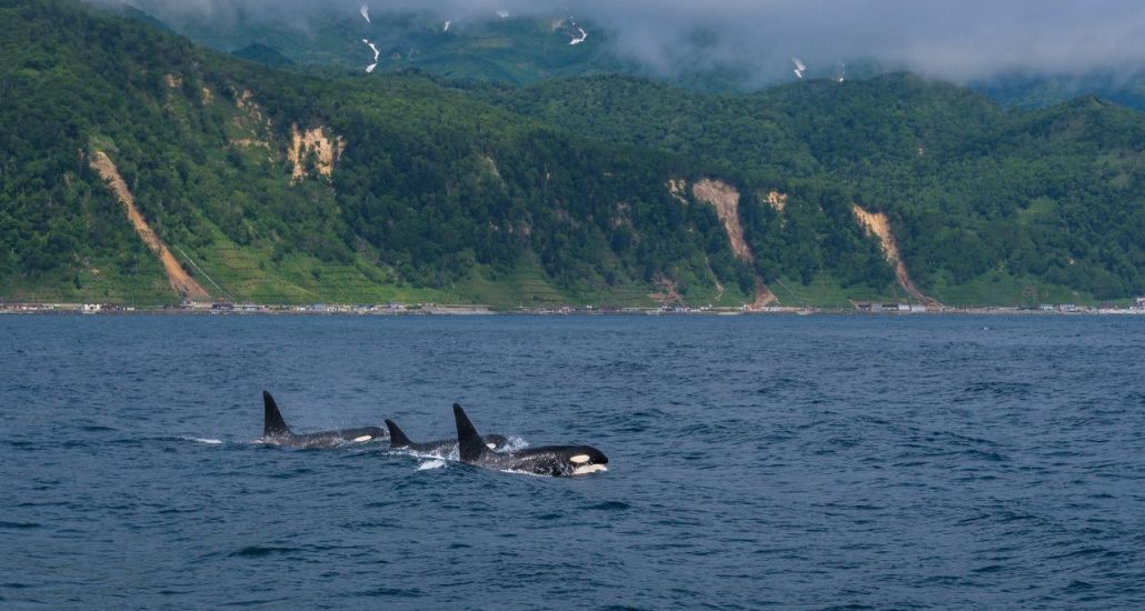 rondreis hokkaido japan okhotsk shiretoko