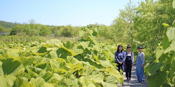 rondreis hokkaido velden