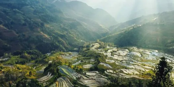 sapa vietnam rijstterrassen sapa vietnam rijstterrassen